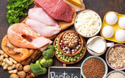 Białko w diecie – ABC ( 3 minuty czytania)
